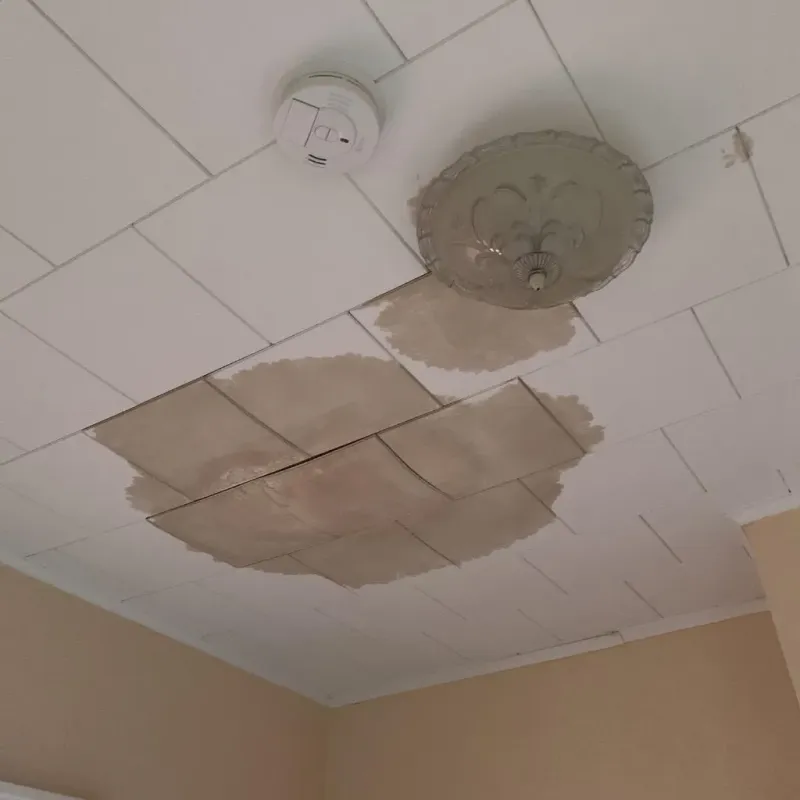 Ceiling Water Damage Repair in Roman Forest, TX