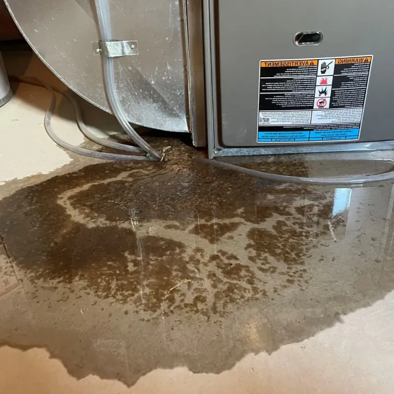 Pipe Burst and Leak Restoration in Roman Forest, TX
